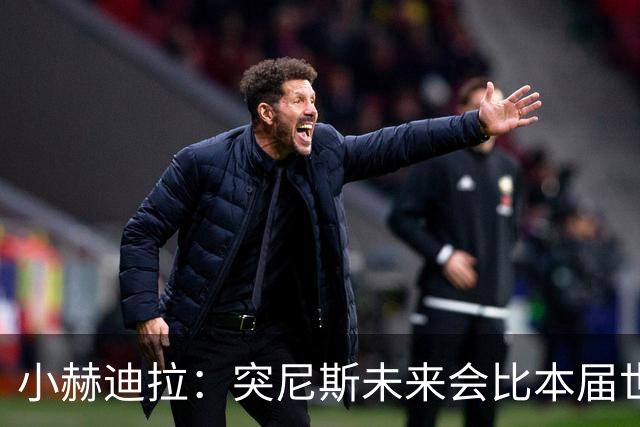 小赫迪拉：突尼斯未来会比本届世界杯更好 批评？我已经付出全力